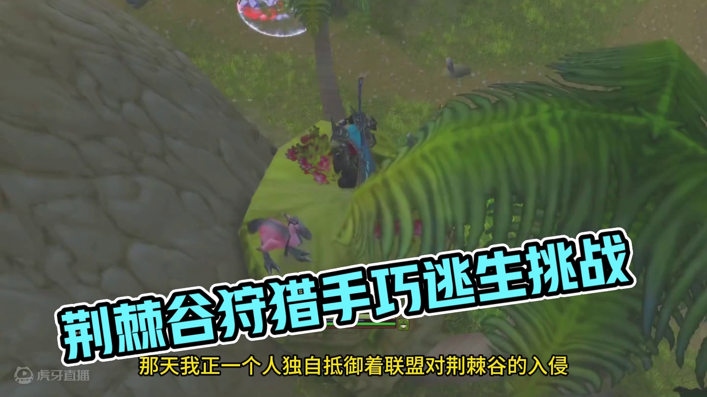 荆棘谷战士猎人野外PVP 巫妖王之怒