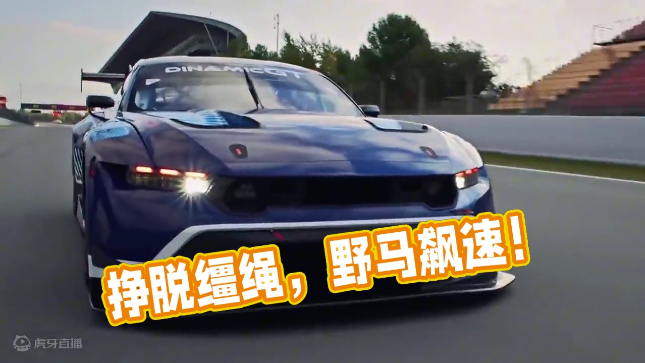 挣脱缰绳，你自是野马！#赛车 #f1 #赛道 #耐力赛 #gt3赛车