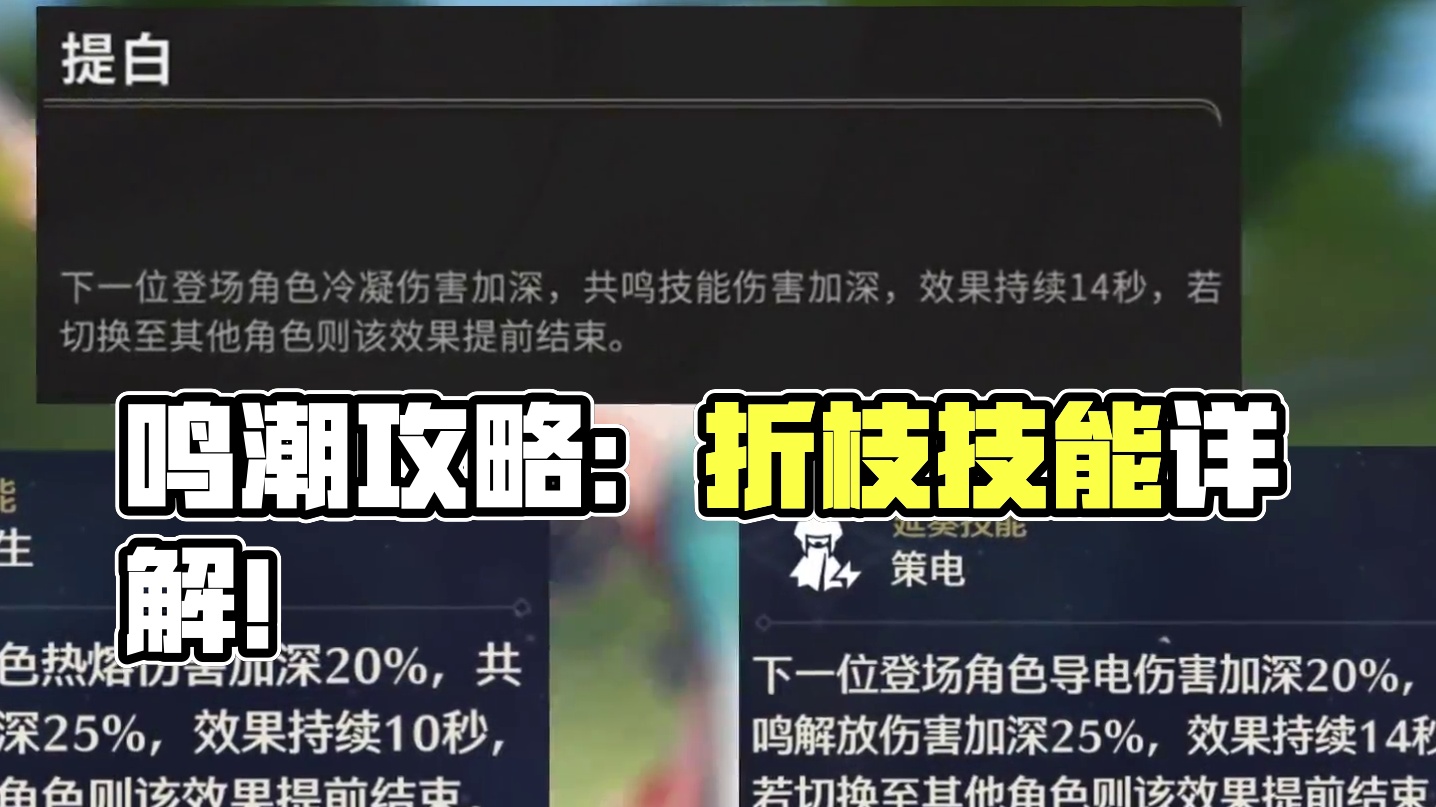 【鸣潮东Sir】折枝到底要不要抽？三个细节角度告诉你抽不抽！ #鸣潮  #鸣潮折枝 #鸣潮攻略