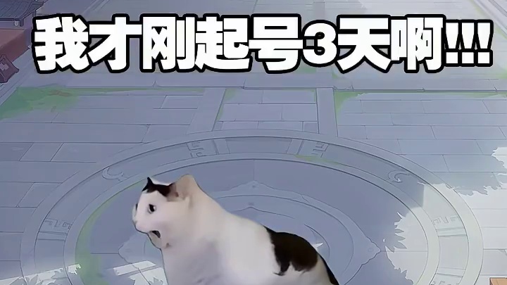 这给我干哪来了，我打大佬！？ 来赏金联赛，人人0差距PK~
 #长安幻想  #长安幻想赏金联赛 #猫