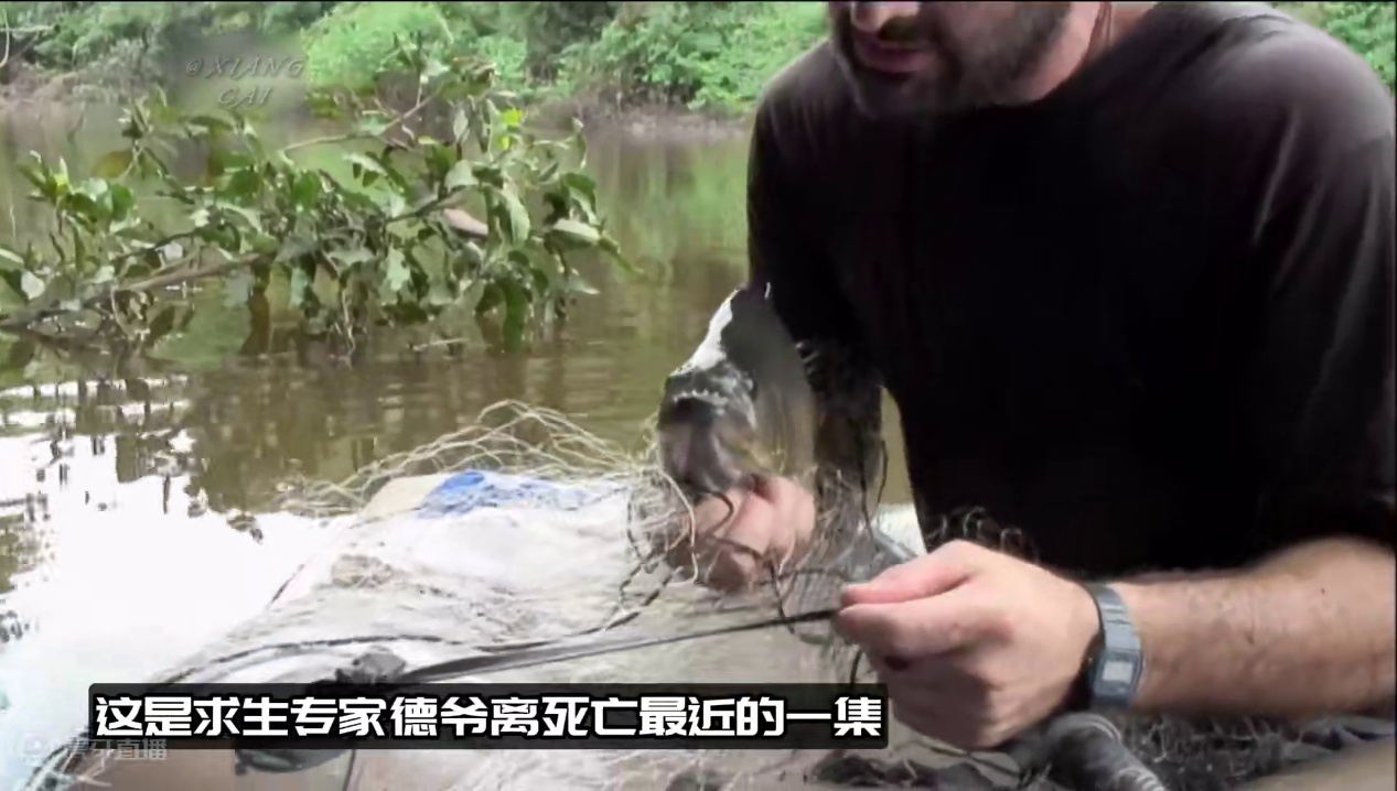 挨饿德爷离死亡最近的一期，耗时860天成功徒步穿越亚马逊#野外求生 #荒野美食 #荒野求生