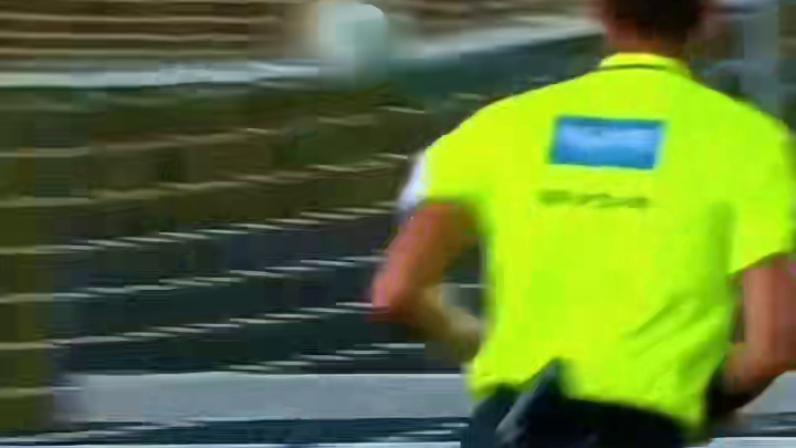 经典的庆祝动作，向对面的球迷敬个礼