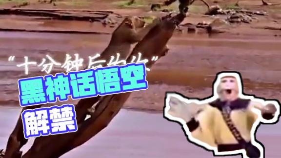 “黑神话解禁的那一天 ” #黑神话悟空 #天命人召集令 #游戏内容风向标