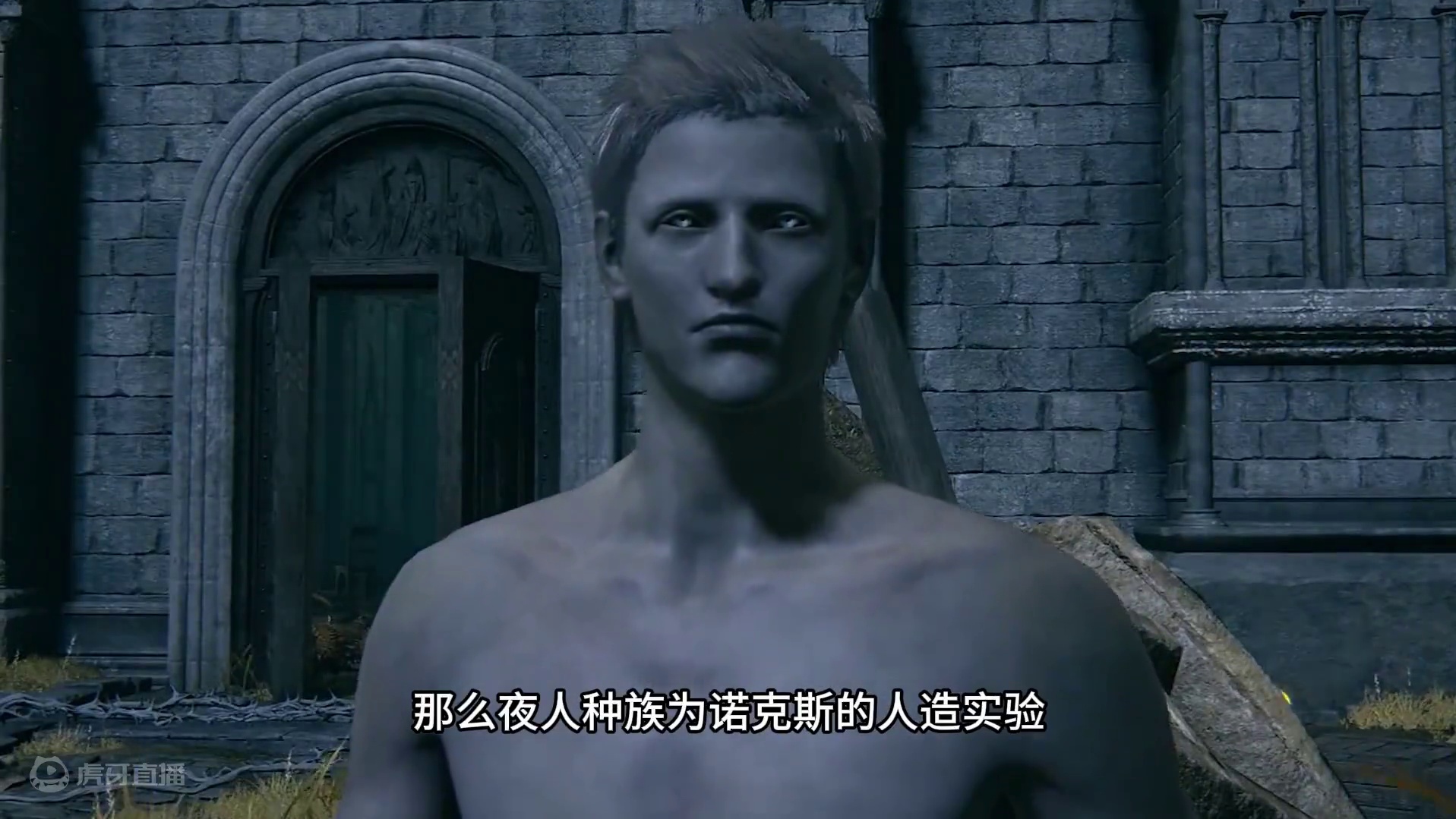 【艾尔登法环试验灭族牺牲品】鬼稀人与夜人 #还得是主机大作 #游戏内容风向标  #艾尔登法环dlc这