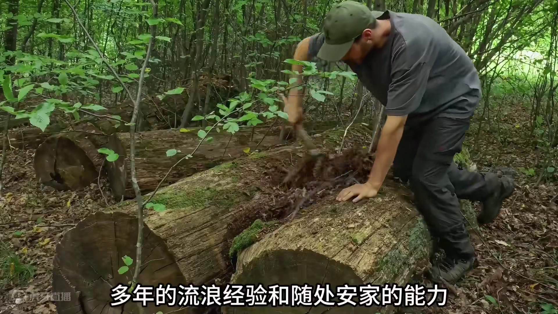 小伙利用躺平的原木，建造出隐秘地下庇护所 #野外建造 #庇护所 #荒野建造 #野外生活纪录片