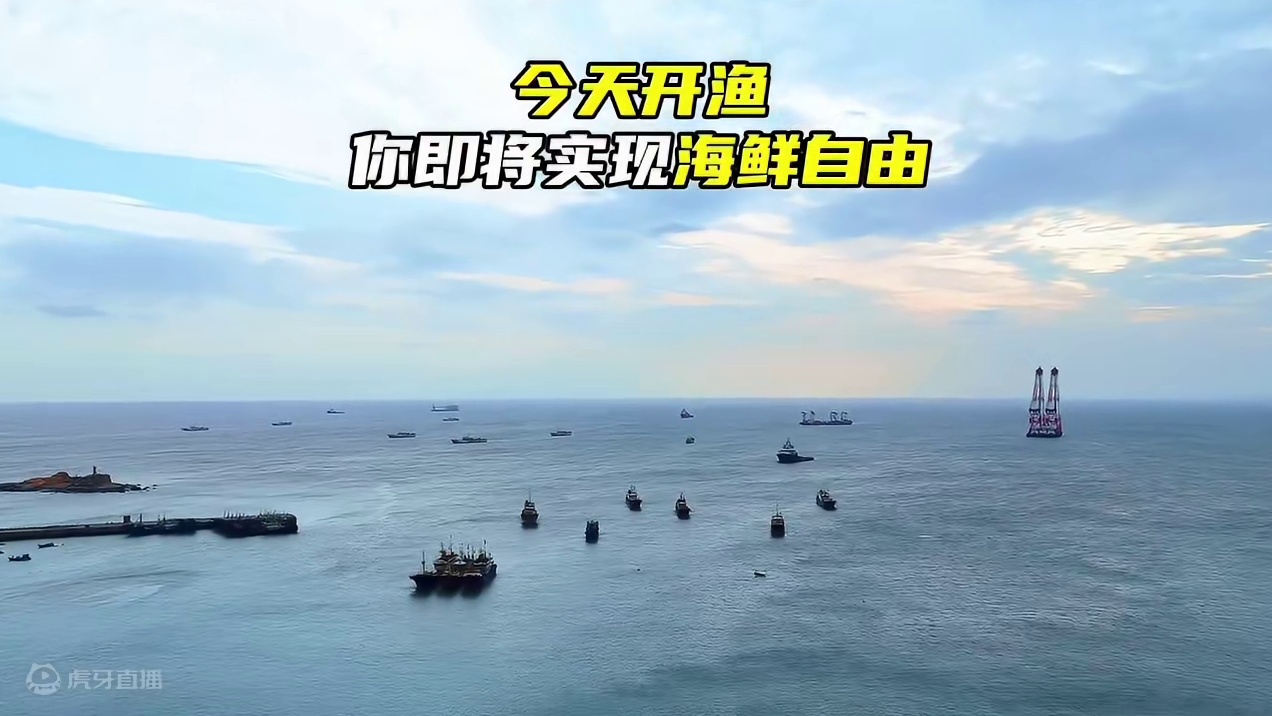 今天开渔，你即将能吃的热腾腾的梭子蟹、海鱼、各种海鲜！#开渔 #开渔后的首波梭子蟹来了 #厦门好势正