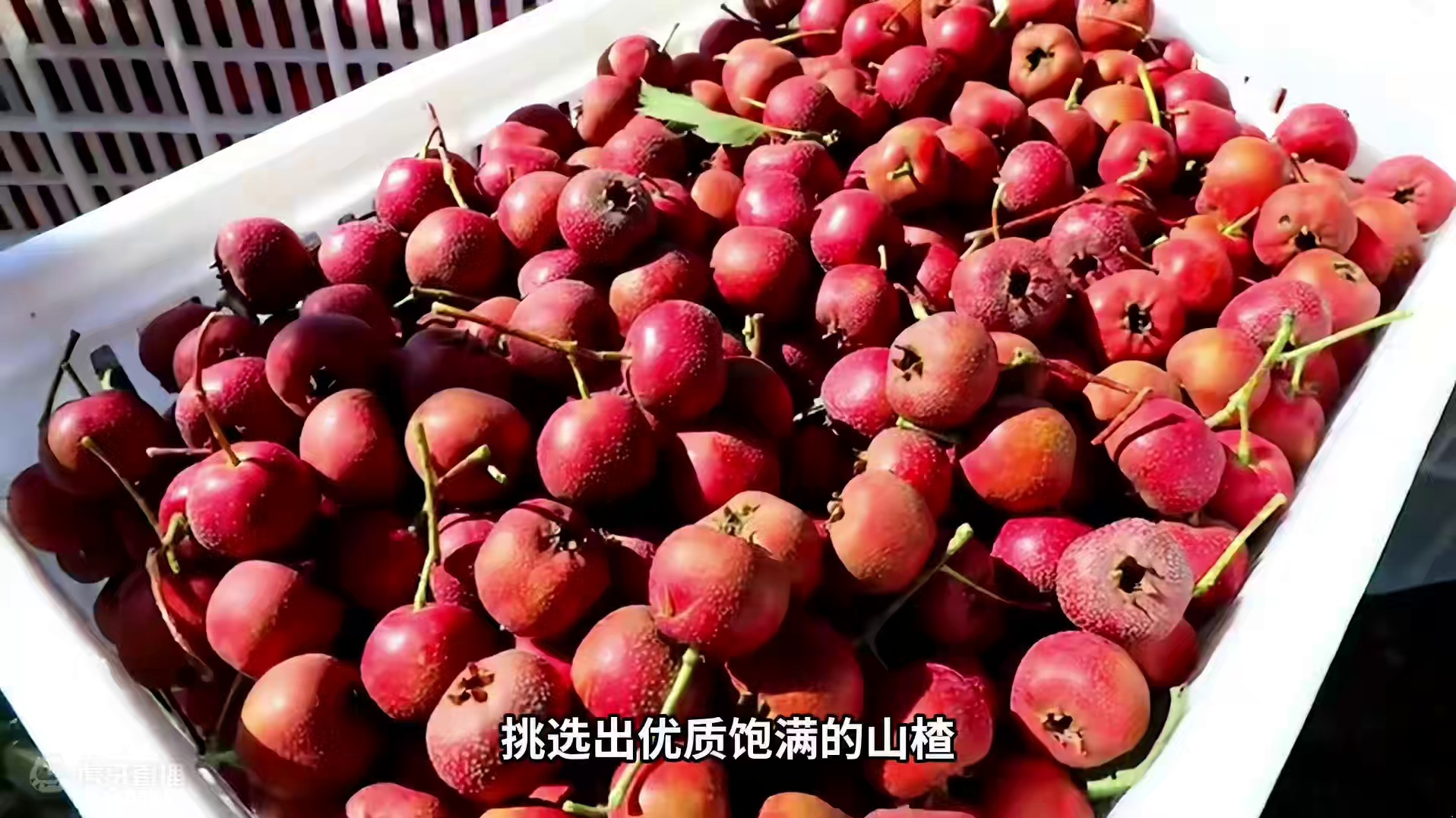 小时候的“童年记忆”，软糯酸甜，长大后依然爱吃！ #零食 #制作过程