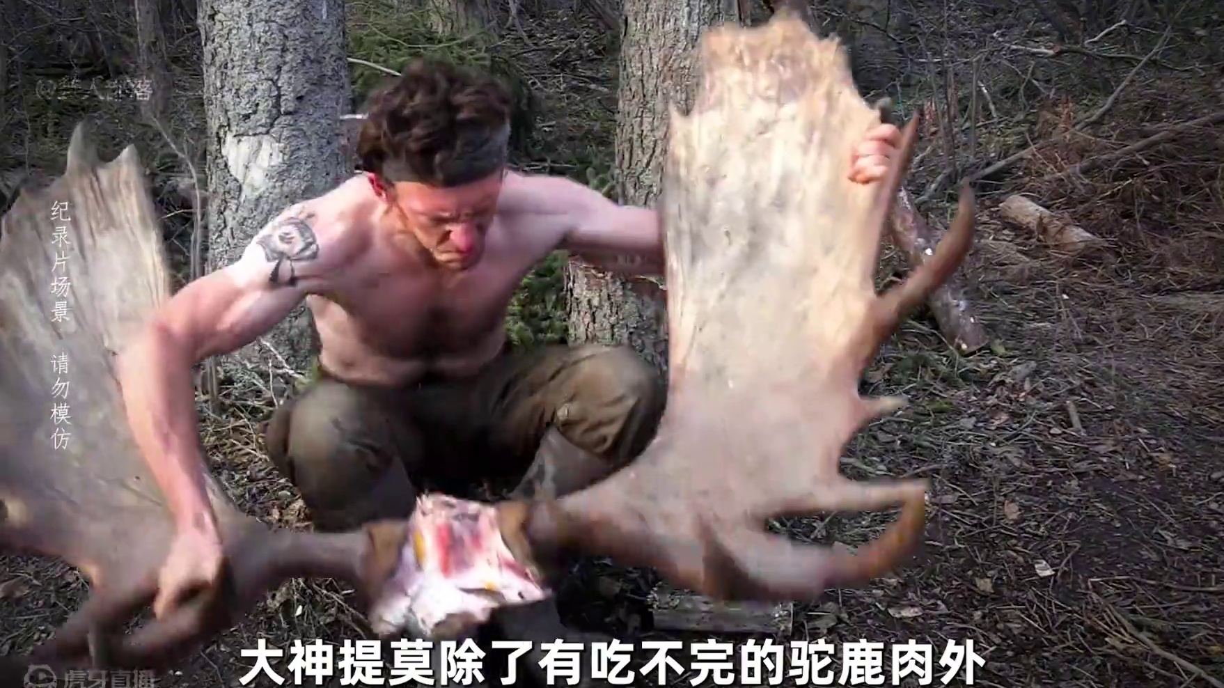 10人北极荒野求生，大佬十多斤梭子鱼，烹饪野白兔捕获肥美松鸡 #荒野求生 #野外生存 #户外