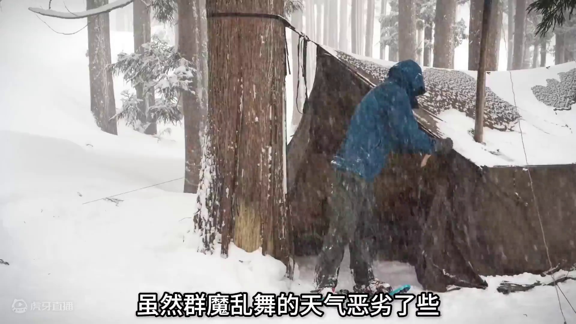 小伙在森林里安营扎寨，体验雪天露营 #雪天露营 #野外露营 #露营生活