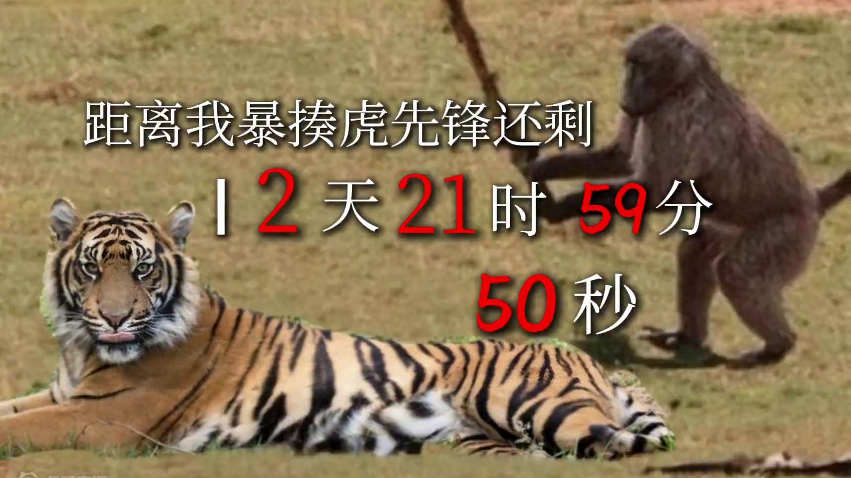 黑神话发售倒计时#天命人召集令 #黑神话悟空 #游戏内容风向标