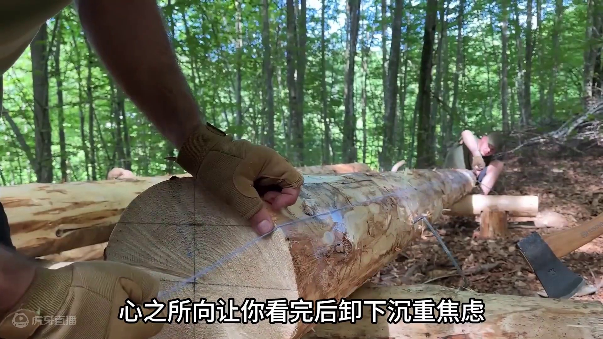 兄弟俩搭建深林木屋，睡前看一集荒野建造长视频完整版 #野外建造 #解压 #木屋建造 #野外生存