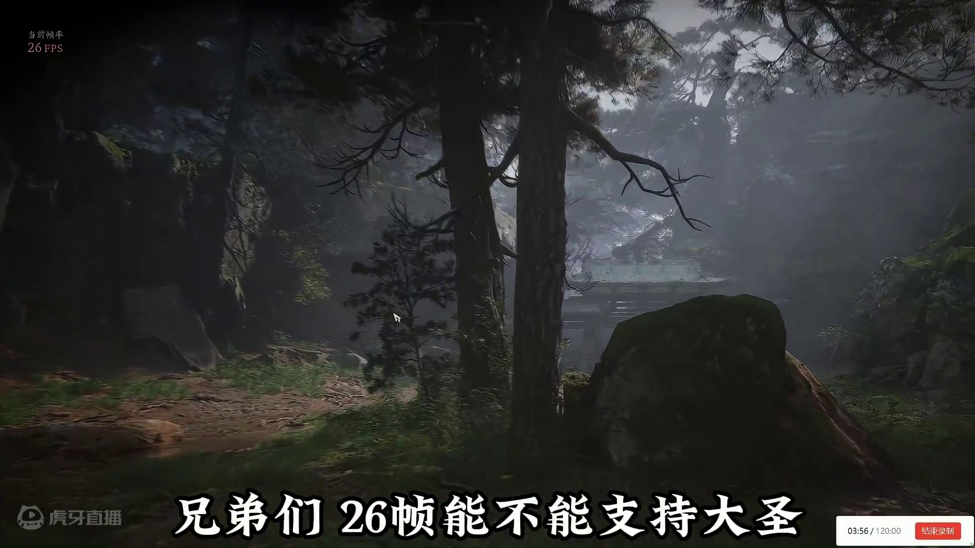 黑神话.悟空.直面天命