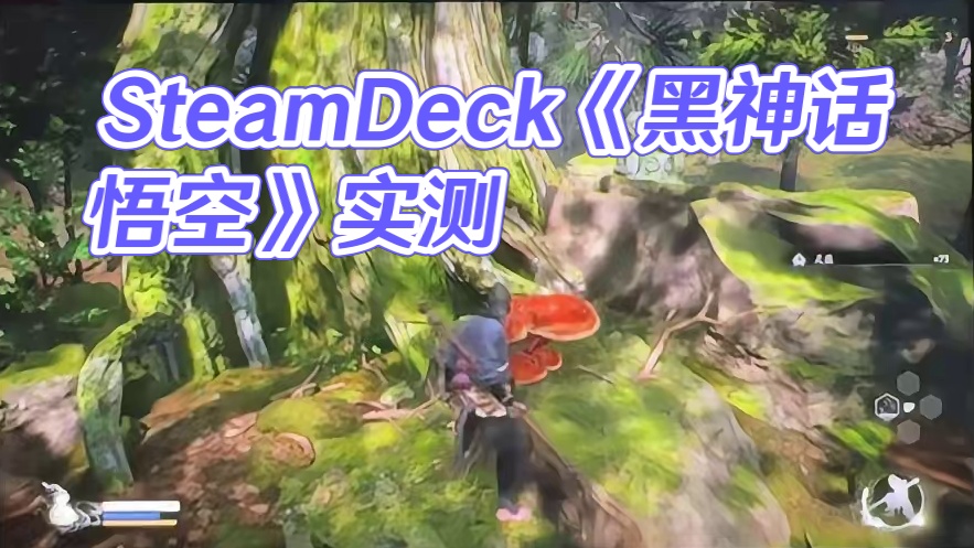 SteamDeck《黑神话悟空》初步实测：运行良好，先简单发一个设置后的测试，30-40帧，待我再琢