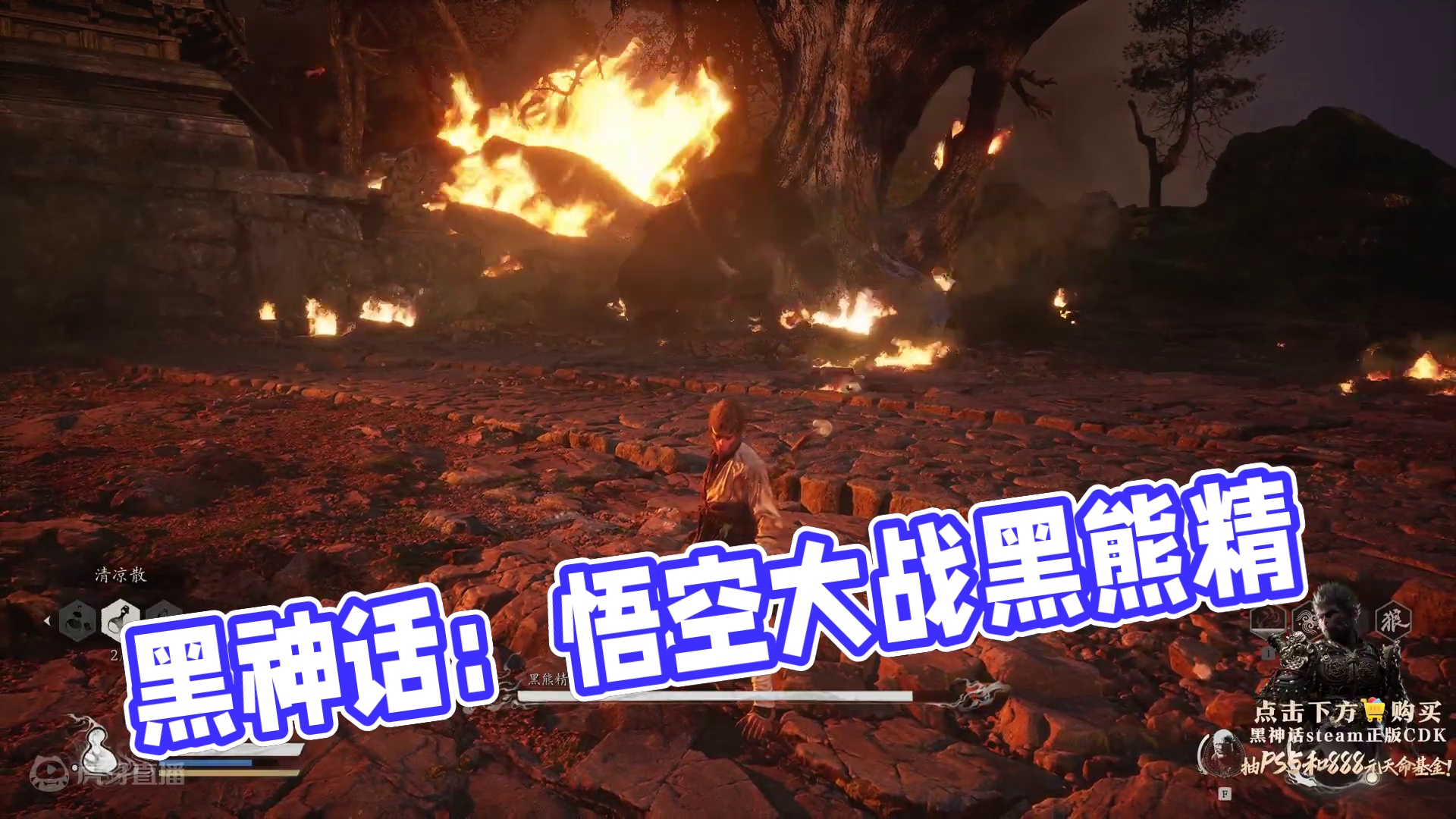 黑神话：悟空-全伤大战黑熊精