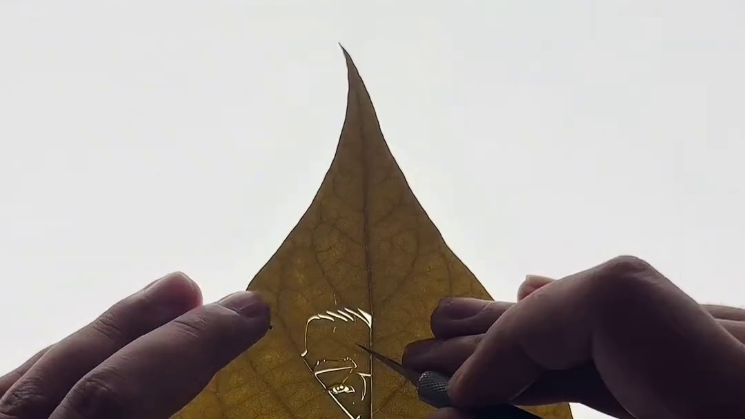 叶子换饭第十三餐，用一片树叶交换美好，感谢老板的盛情款待。#美食#人间温暖 #小兵大作战#小兵三分钟