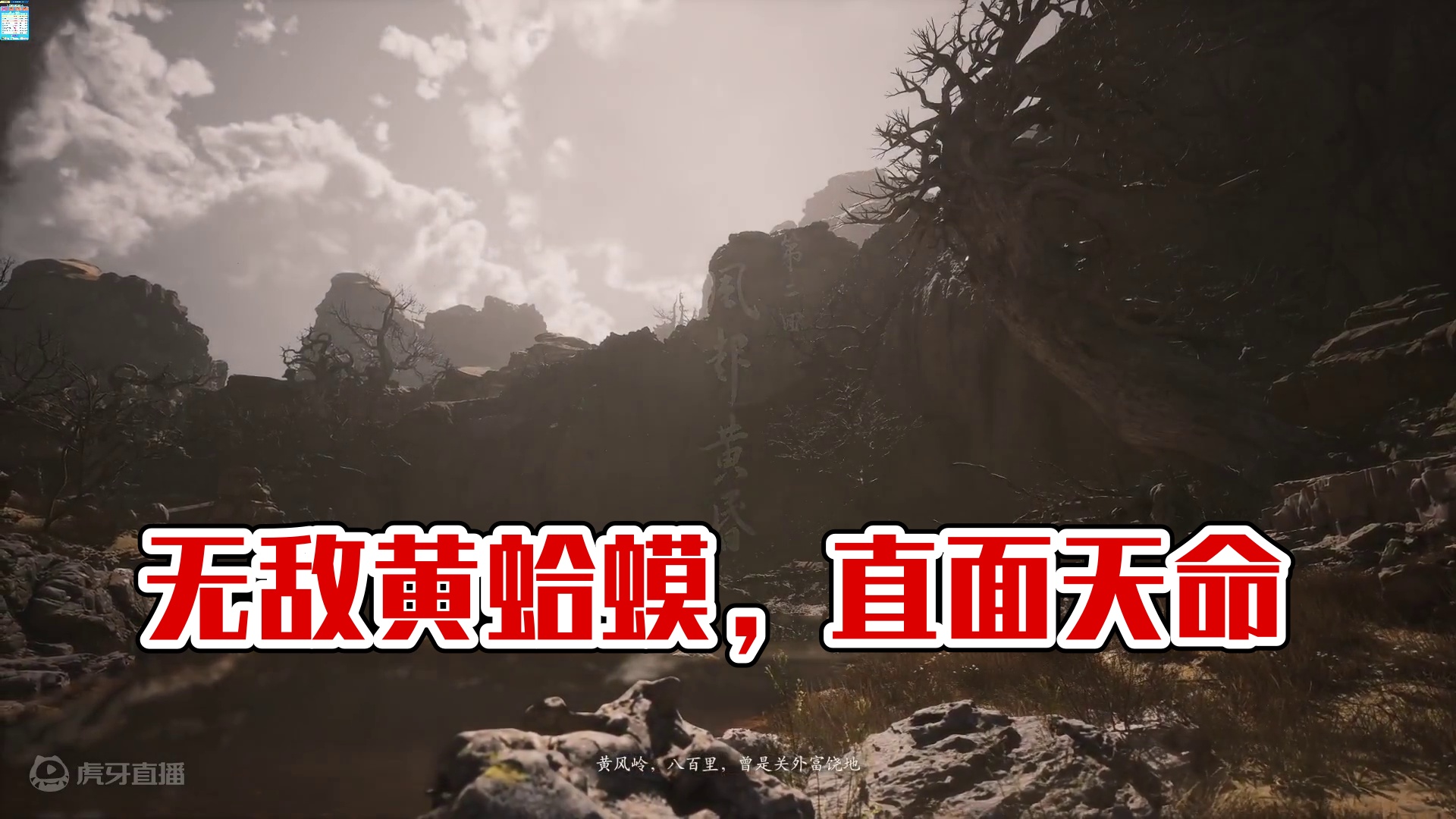 直面天命吧！打工人！-无敌的黄蛤蟆