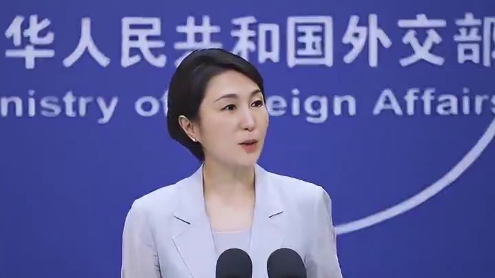 ：反映中国文化的吸引力