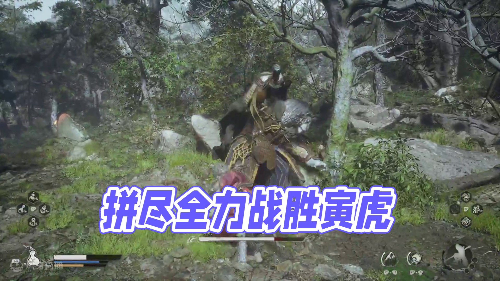 拼尽全力战胜寅虎