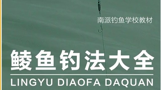 鲮鱼钓法大全上架了 39集的鲮鱼教学视频已上架