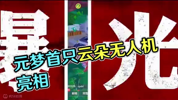 元梦首个无人机臻藏外观曝光#元梦之星 #畅玩元梦夏日乐园 #元梦之星甜心乐园赛季