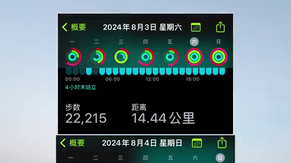 今年我就是拖鞋党谁劝都不好使