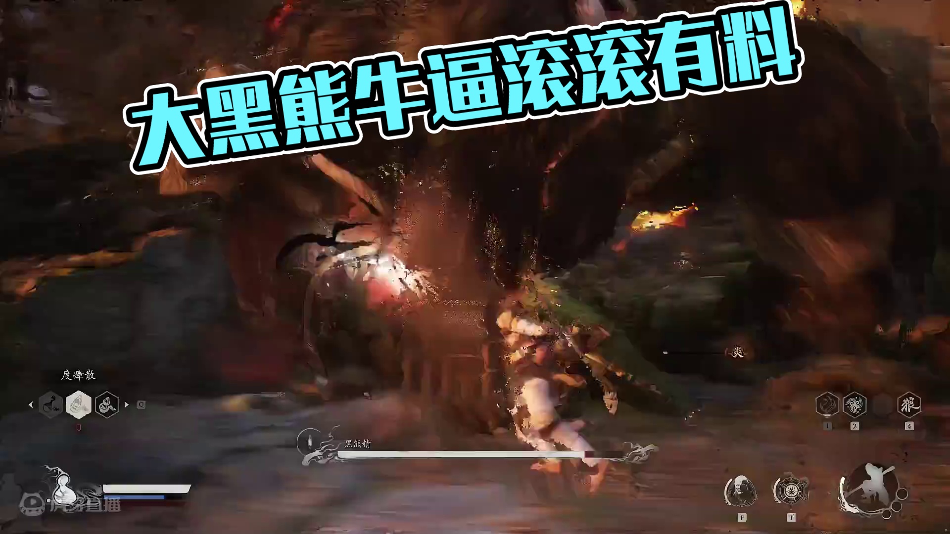 大黑熊不容易啊