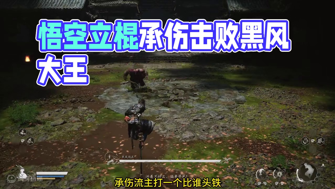 【黑神话·悟空】立棍承伤流打黑风大王！ #黑神话悟空   #黑神话悟空创作激励 #内容启发搜索