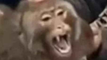 大圣归来！你我皆是黑吗喽？#天命人召集令 #黑神话悟空 #游戏科学 #steam游戏