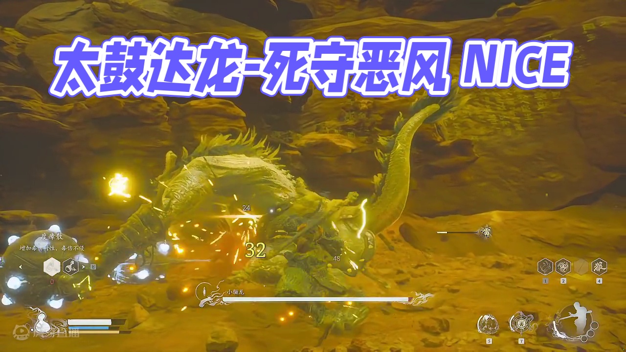 小骊龙-太鼓达龙