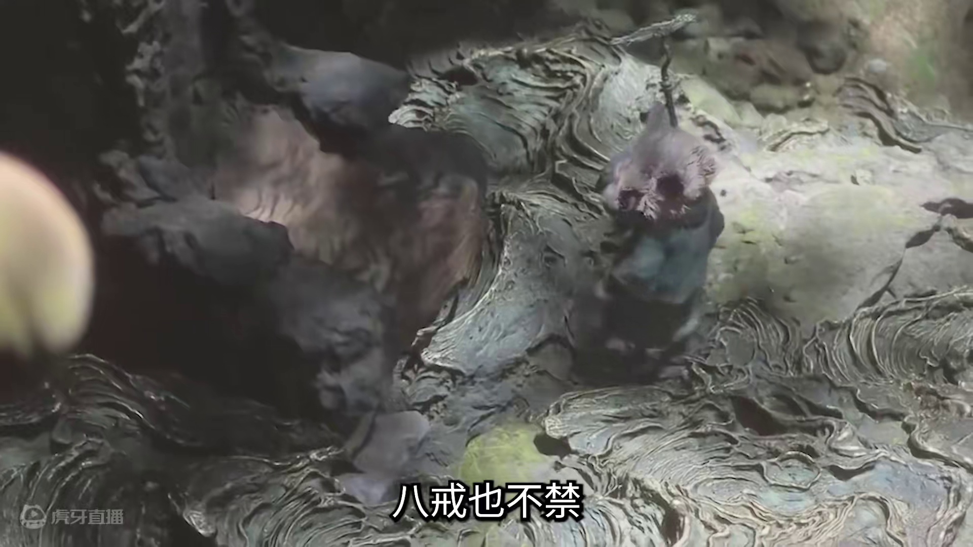 【黑神话：悟空】 八戒笑了，可屏幕前的我却哭了......#steam游戏 #黑神话悟空  #单机游