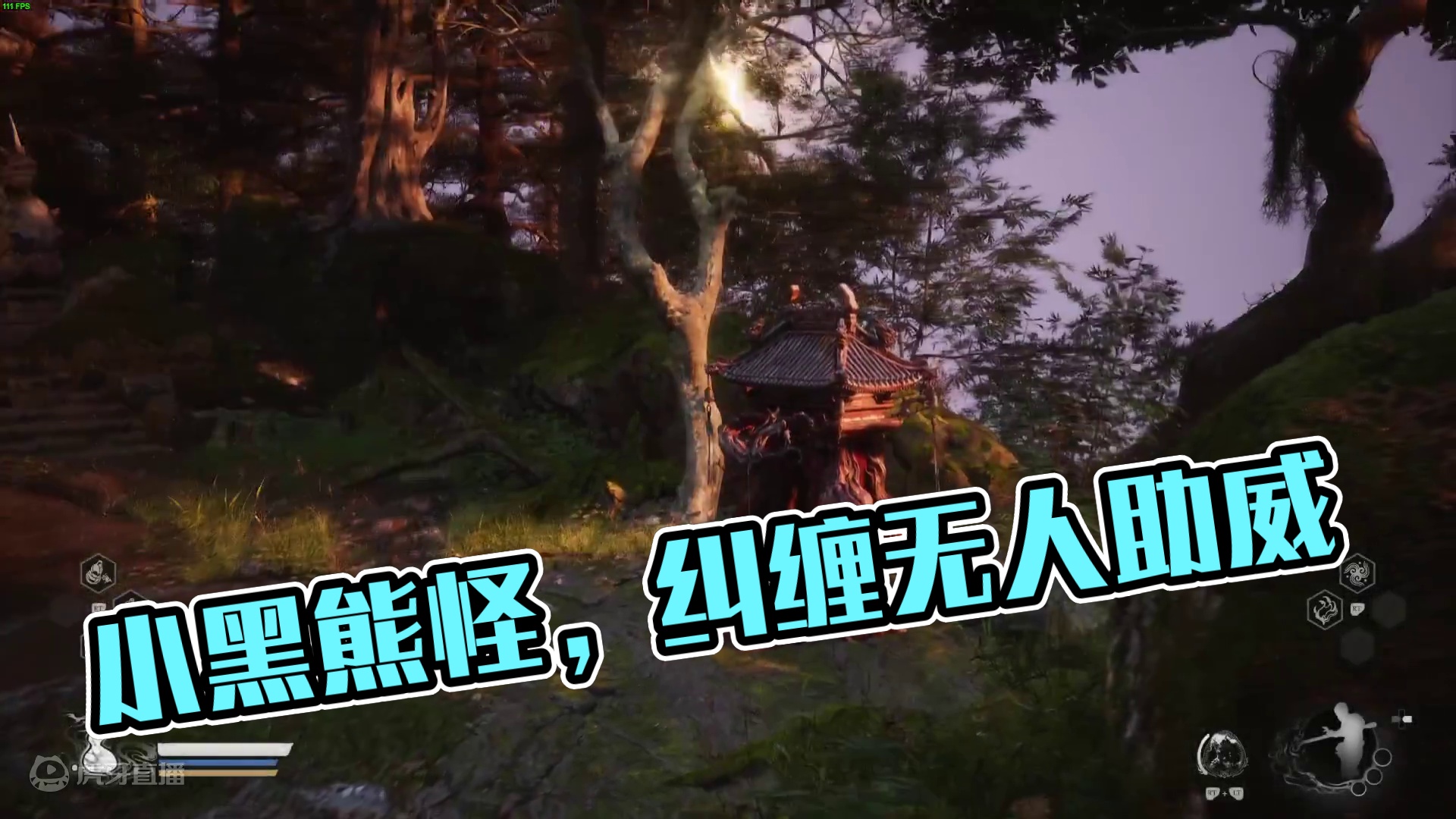 小小黑熊怪，拿下！