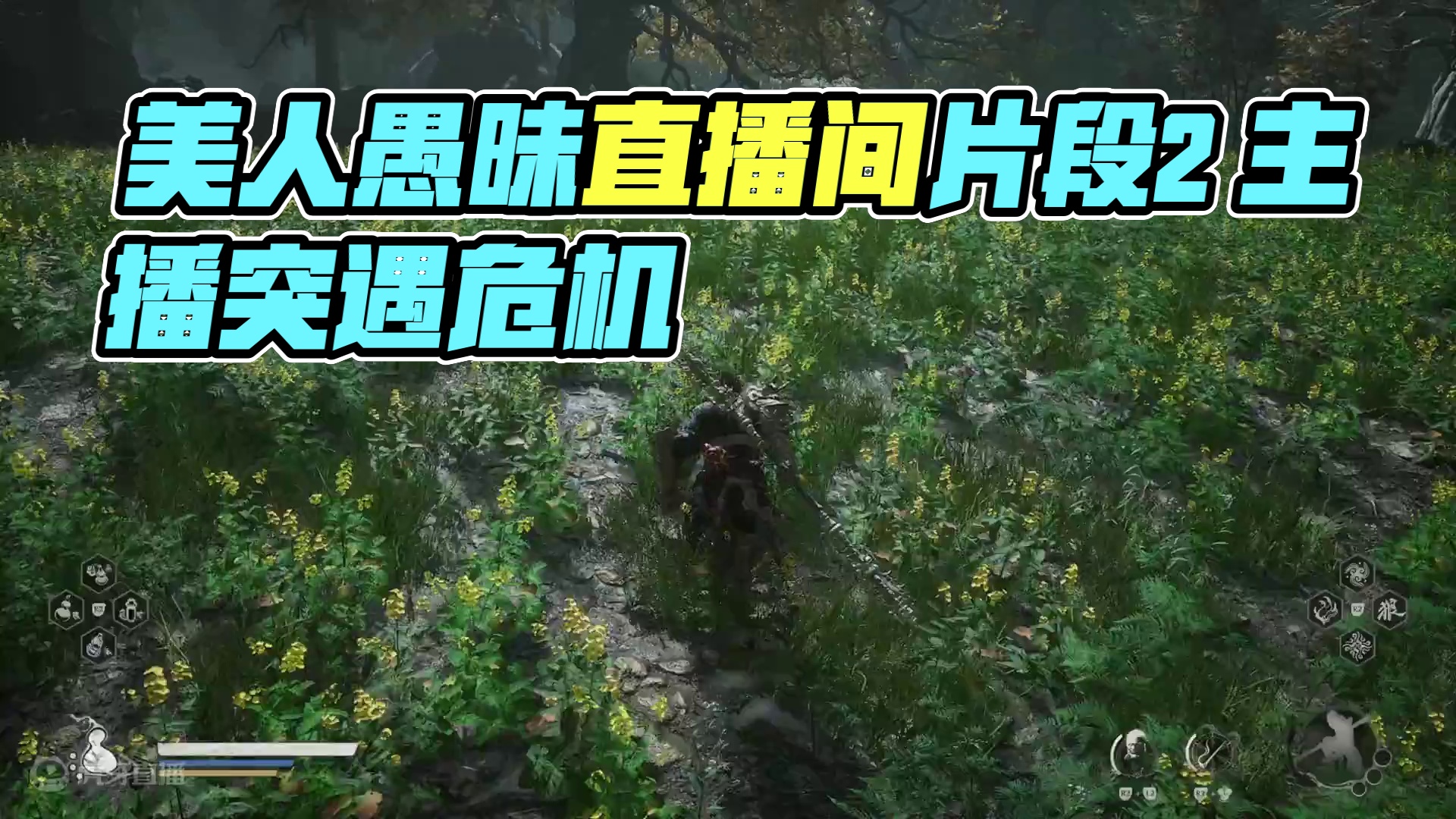 美人愚昧的直播间-片段2