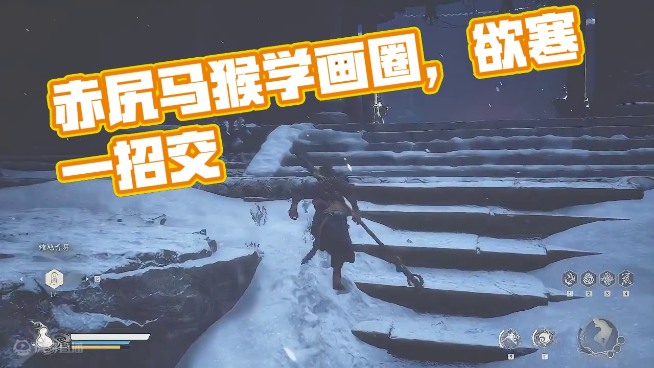 赤尻马猴（院内二见）-学画圈圈