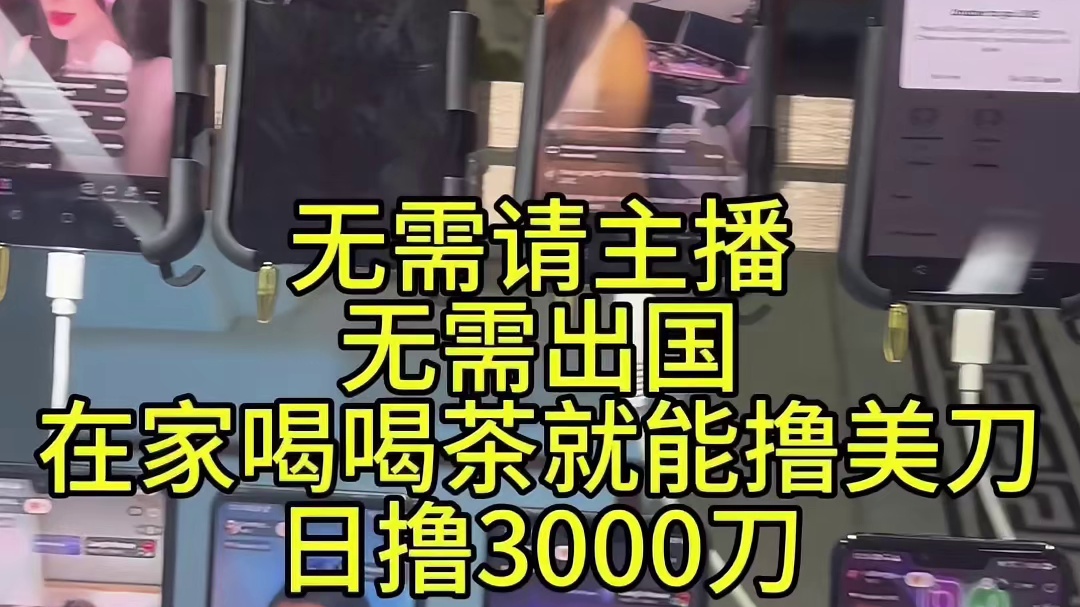 揭秘：2024最大的风口项目