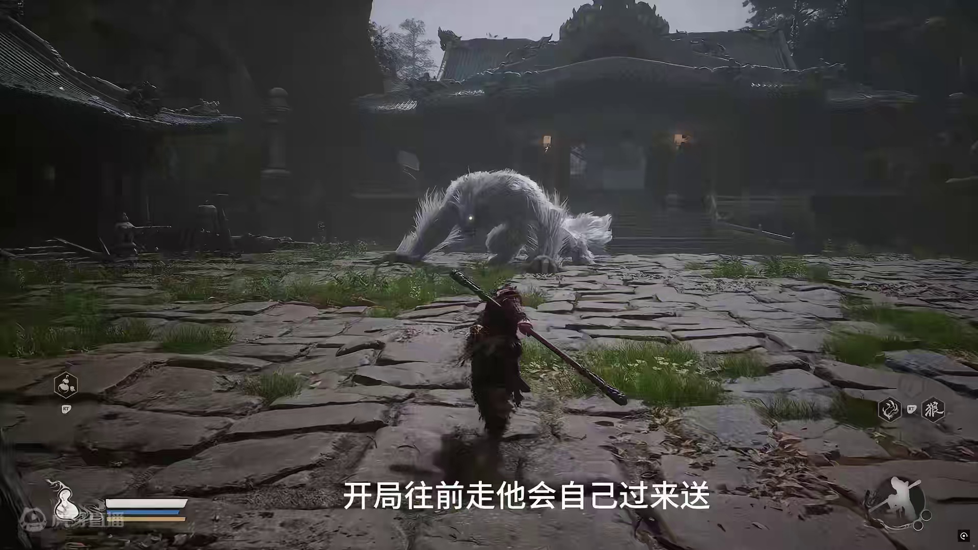 今天又是我太奶看来就行 #黑神话悟空  #黑神话悟空创作激励