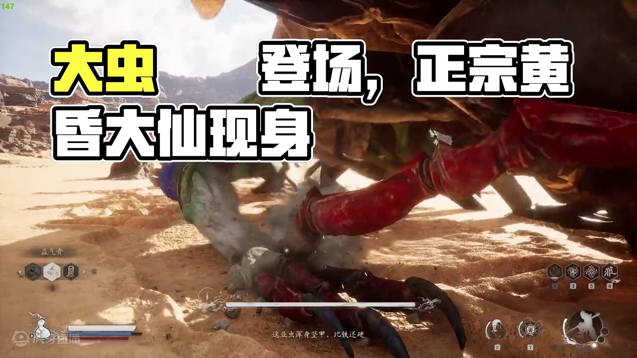 天使解说 黑神话：悟空 初体验 第18期 大虫蝜蝂登场  #黑神话悟空