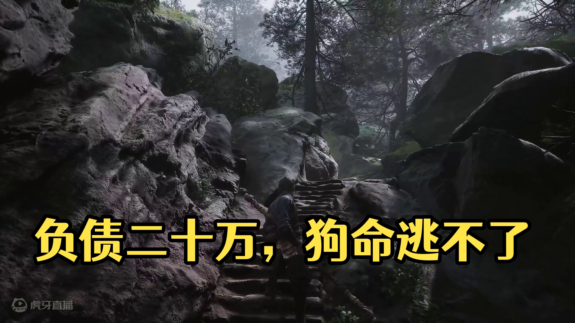 负债二十万，哪有狗命还？