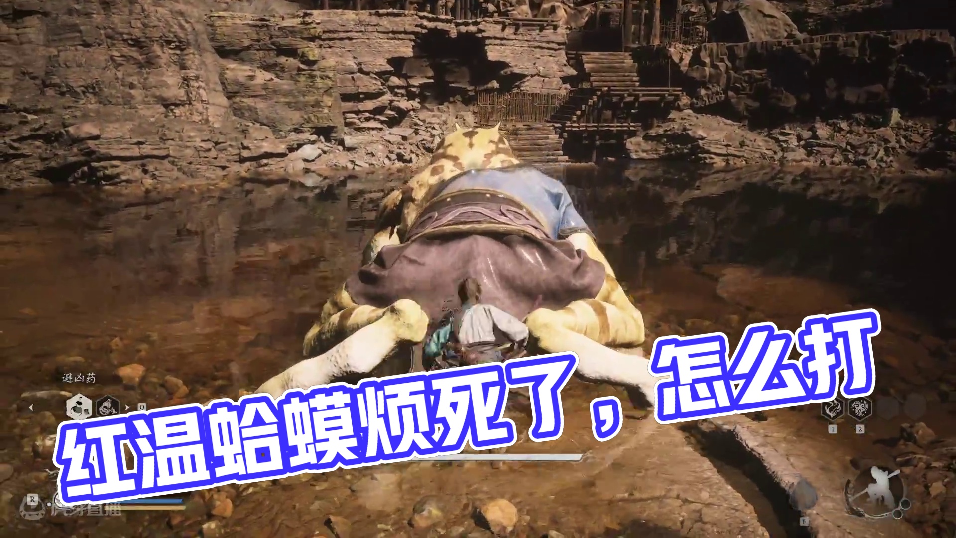 让我红温的蛤蟆