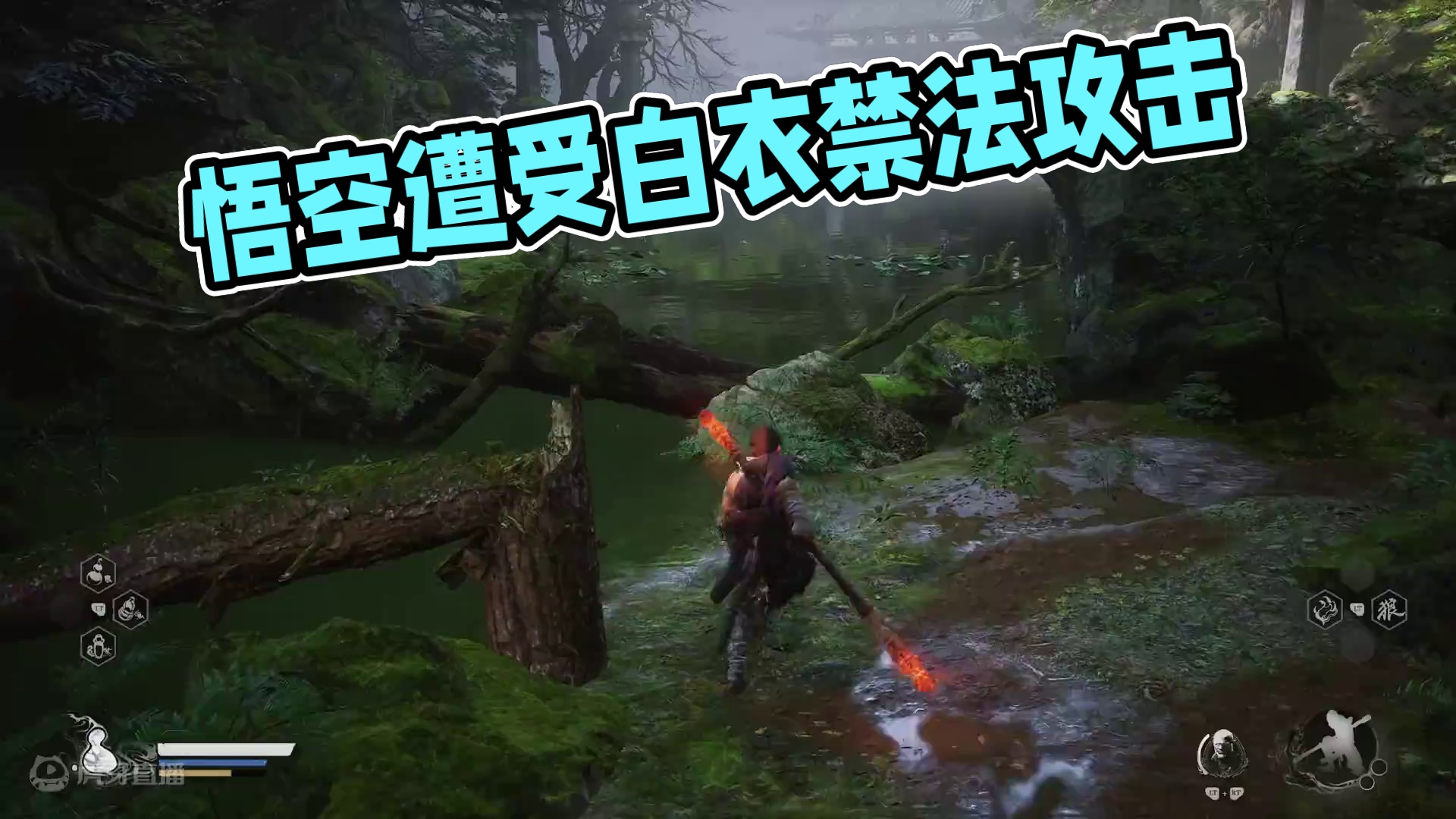 悟空VS白衣【纯棍】【禁法】