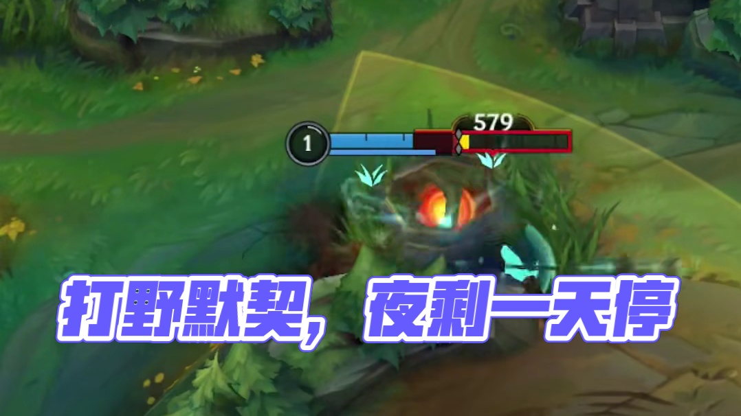 这就是打野之间的默契