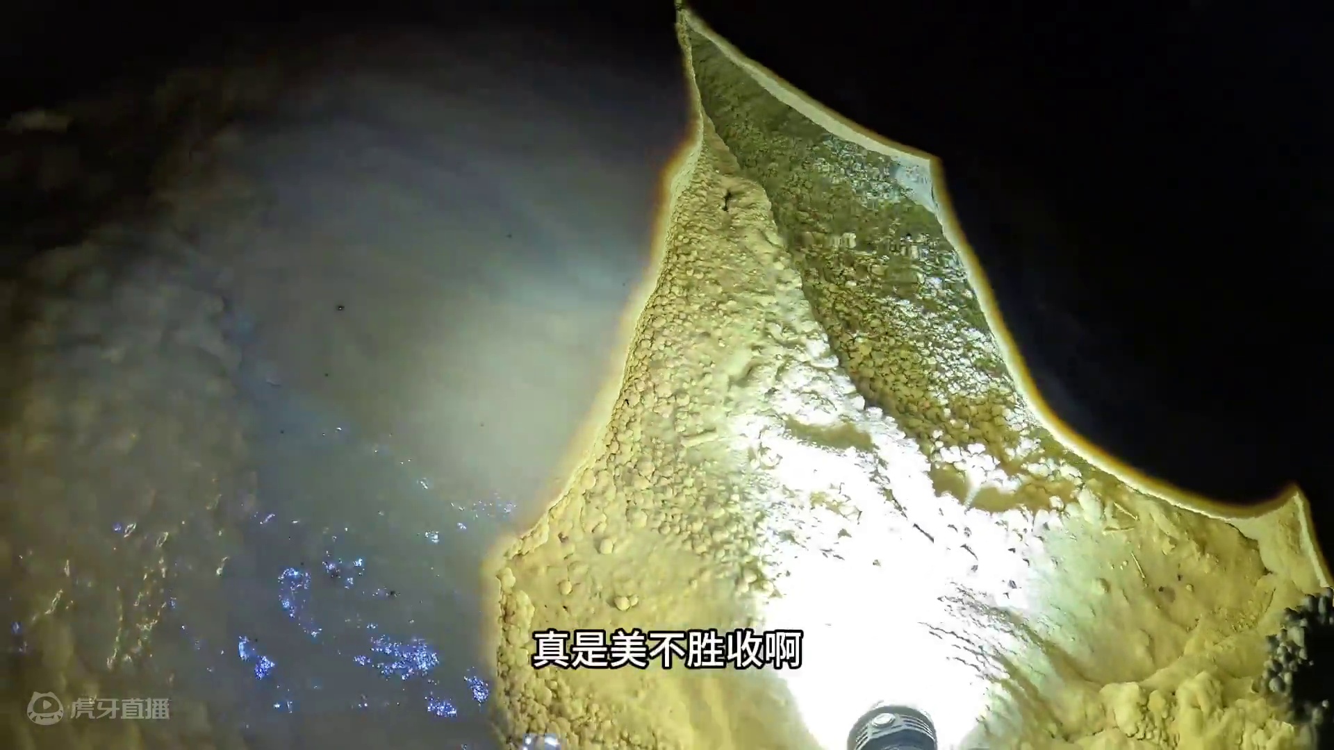 我发布了一个新视频，快来围观吧！