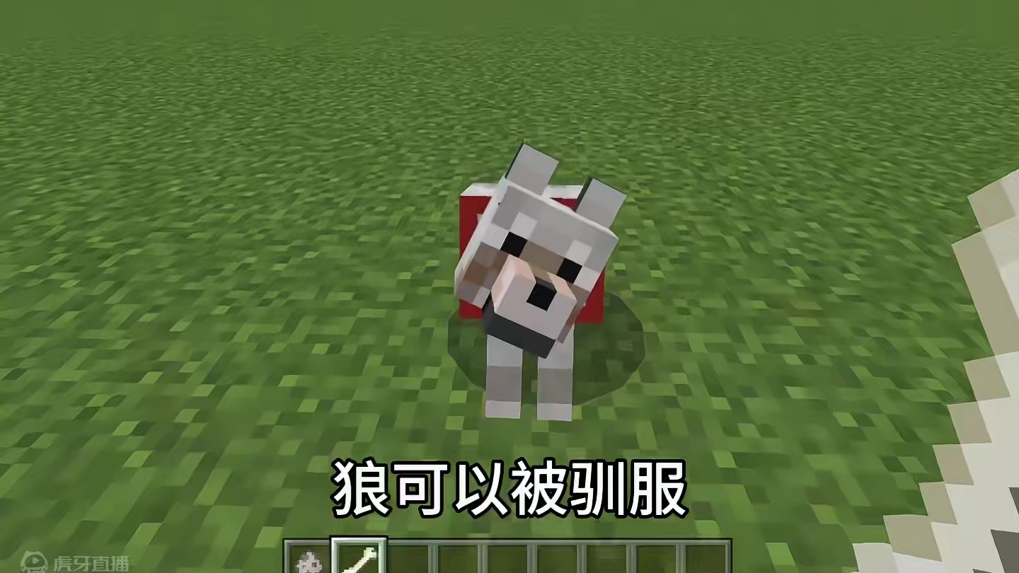 我的世界：这才是狼的正确打开方法！#我的世界 #mc不灭 #mc