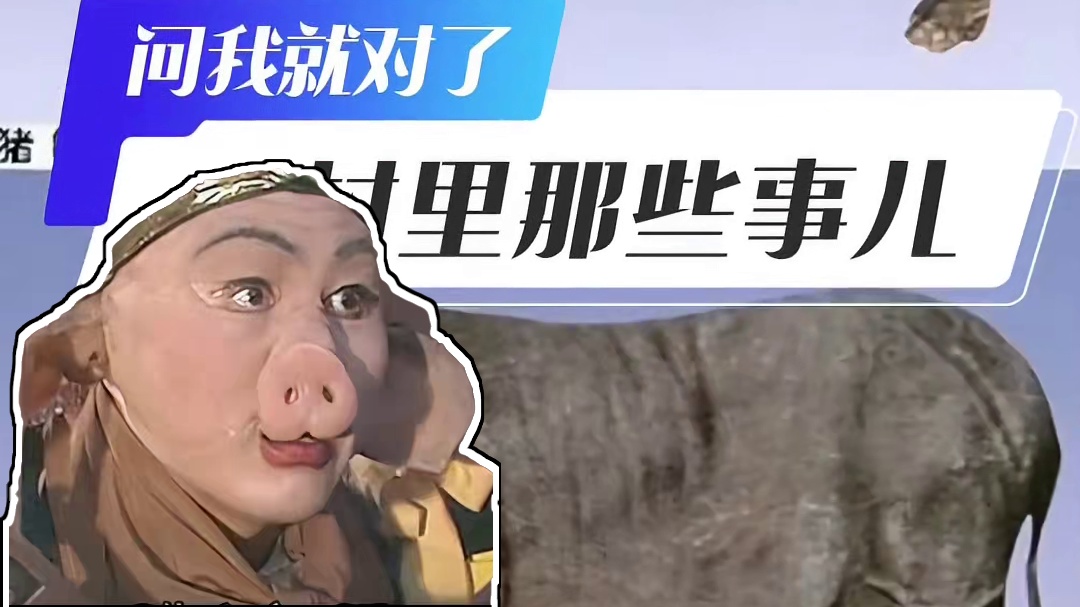 【黑神话猪八戒造型为啥不是白胖胖的？】     注意听讲，小17科普时间又到啦！其实，我国本土猪种大