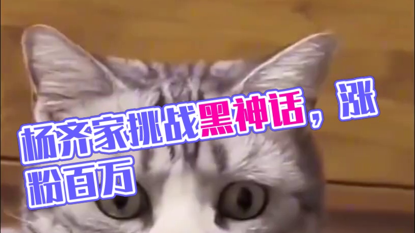 杨齐家，这可真是游戏直播天命人啊！#杨齐家 #天命人 #黑神话悟空