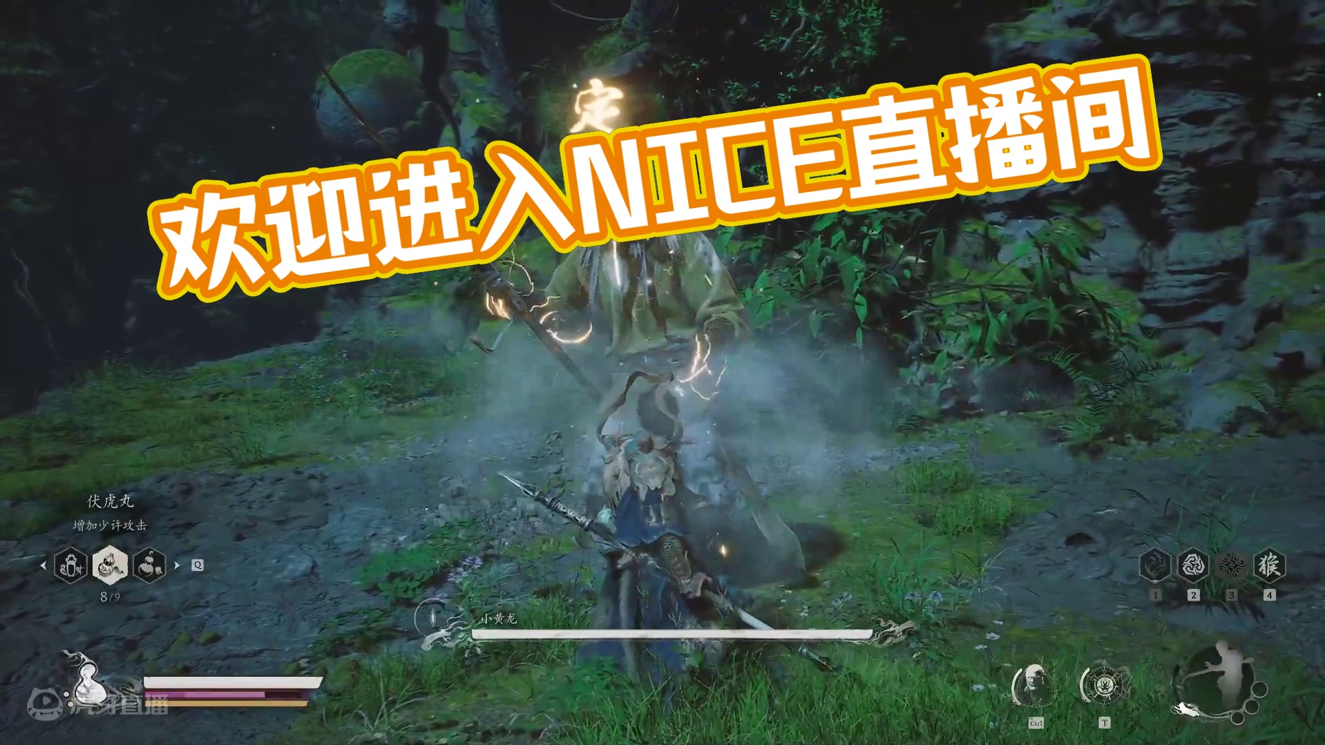 欢迎来到我的直播间片段1