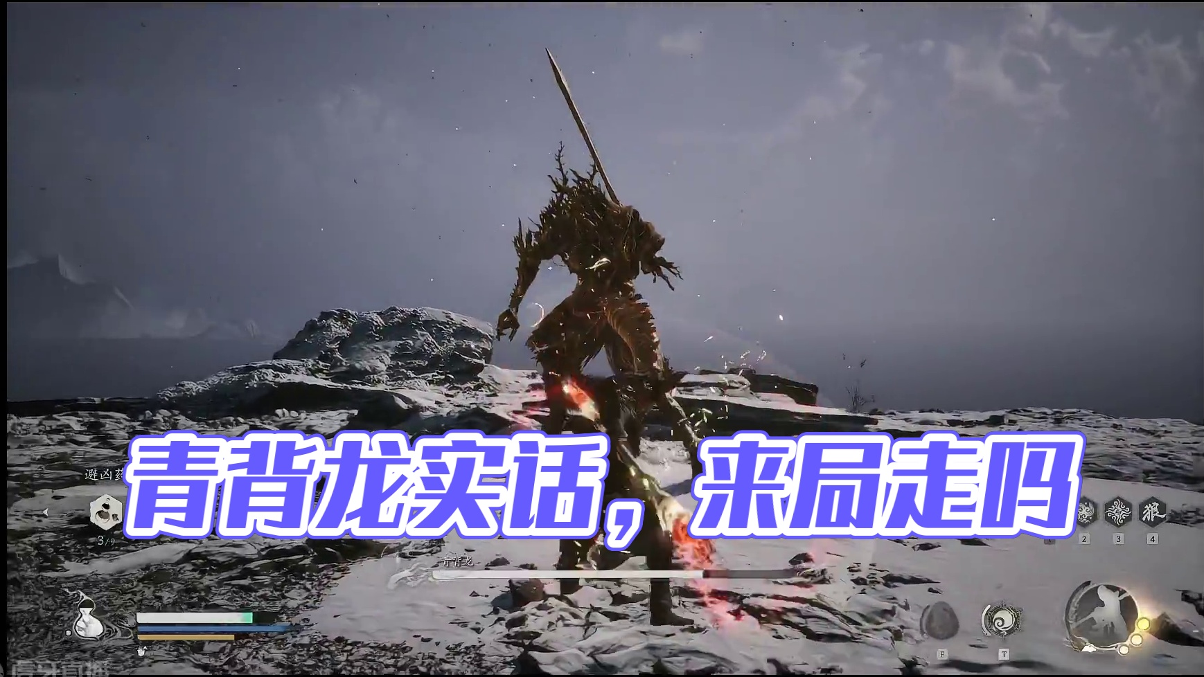 青背龙也就这样吧，我说实话