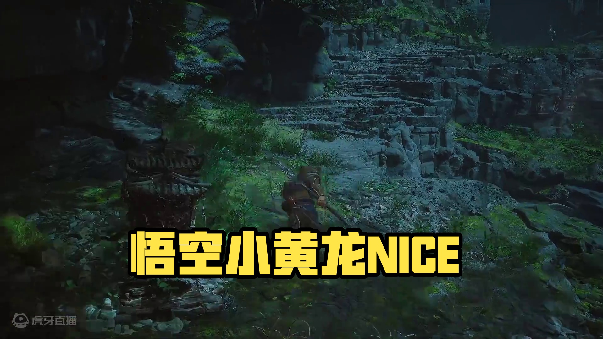 黑神话悟空小黄龙