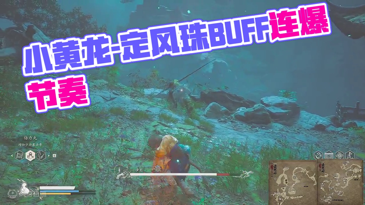 小黄龙-用好定风珠和寅虎变化