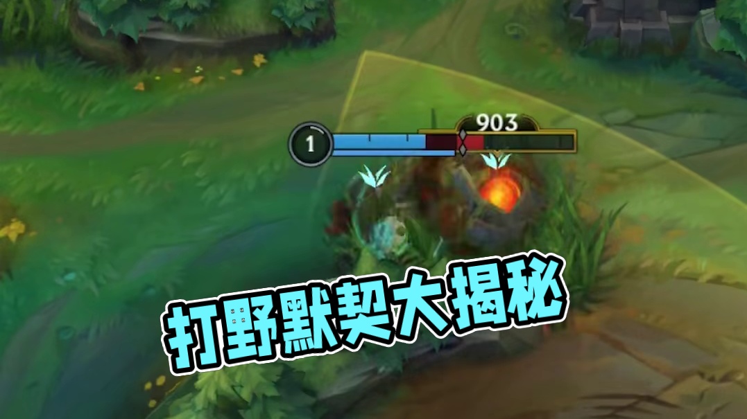 这就是打野之间的默契