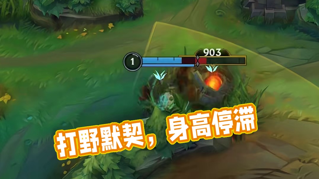 这就是打野之间的默契